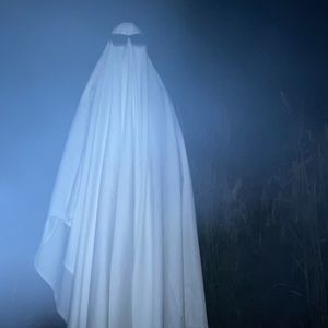 Meet your Posher, Abbey